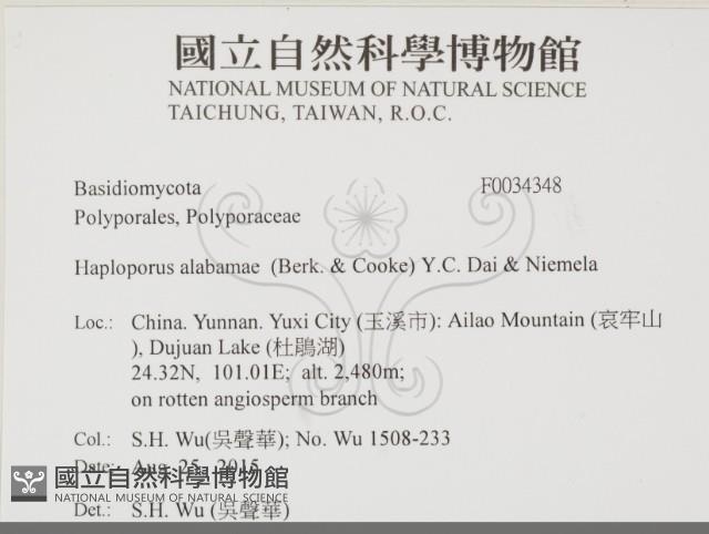 登錄號:F0034348藏品圖，第2張