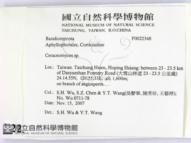 登錄號:F0022348藏品圖，第2張