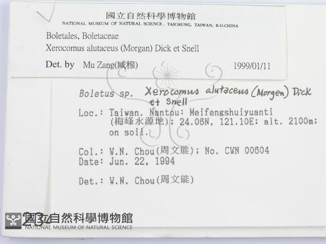 登錄號:F0002348藏品圖，第2張