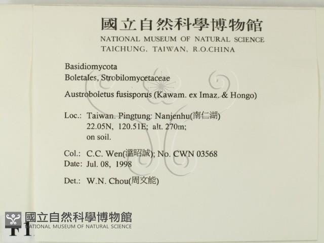 登錄號:F0012348藏品圖，第2張