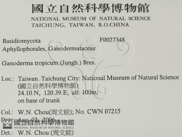 登錄號:F0027348藏品圖，第2張