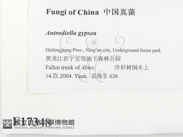 登錄號:F0017348藏品圖，第2張