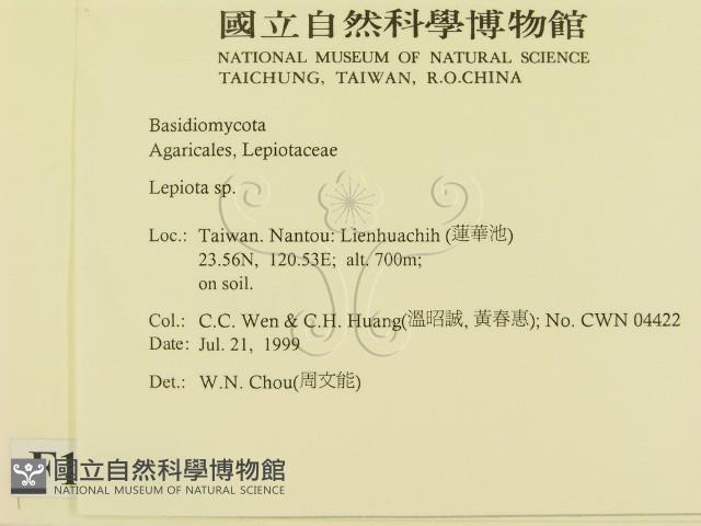 登錄號:F0013348藏品圖，第2張