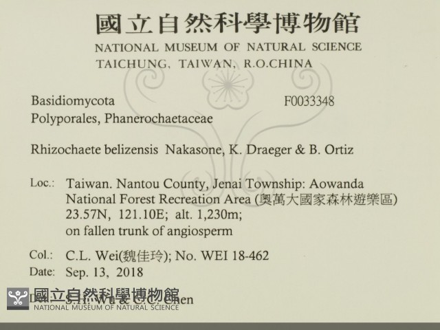 登錄號:F0033348藏品圖，第2張