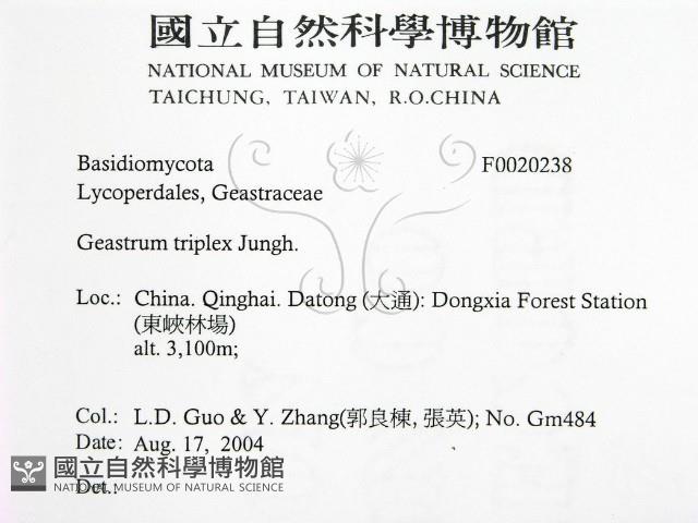 登錄號:F0020238藏品圖，第2張