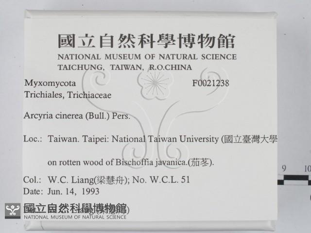 登錄號:F0021238藏品圖，第2張