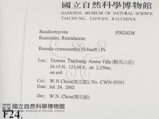 登錄號:F0024238藏品圖，第2張