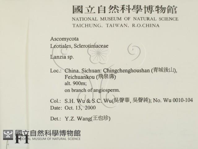 登錄號:F0012238藏品圖，第2張