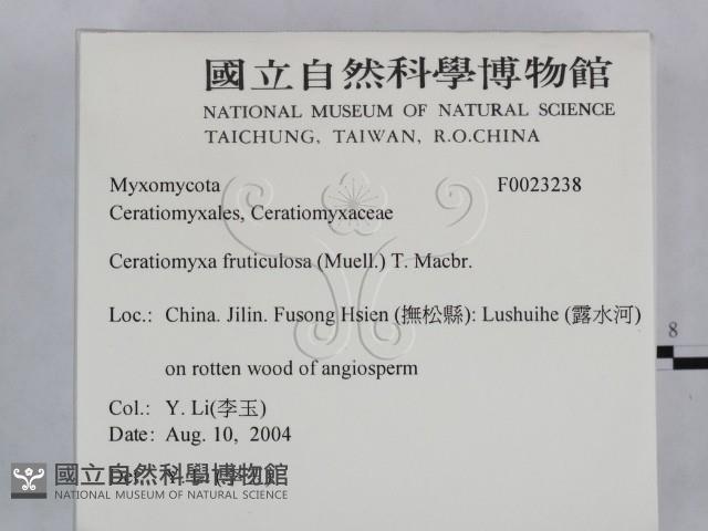 登錄號:F0023238藏品圖，第2張