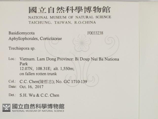 登錄號:F0033238藏品圖，第2張