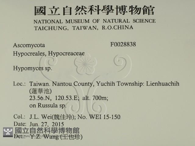 登錄號:F0028838藏品圖，第2張