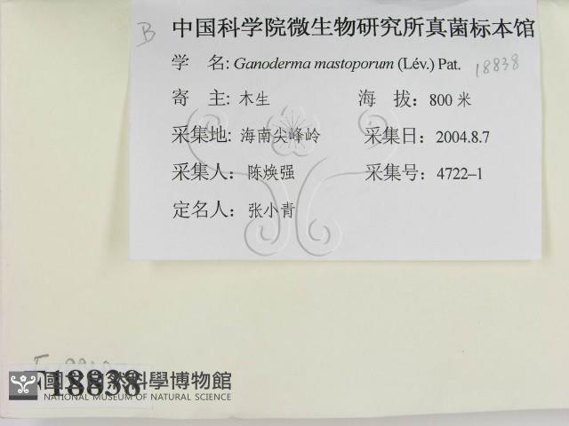 登錄號:F0018838藏品圖，第2張