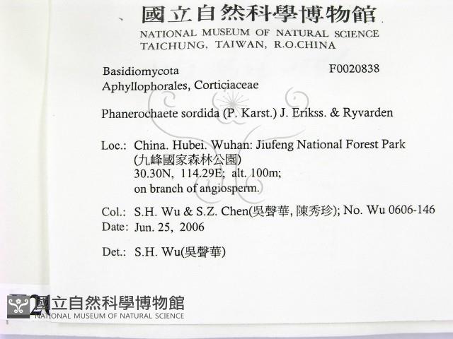 登錄號:F0020838藏品圖，第2張