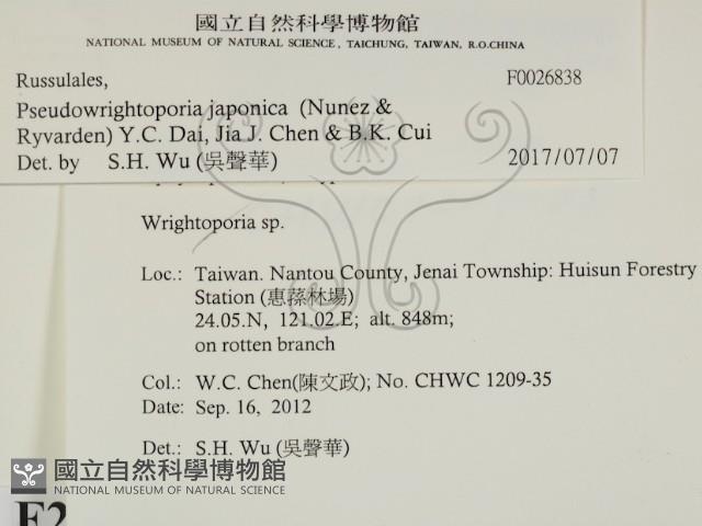 登錄號:F0026838藏品圖，第2張