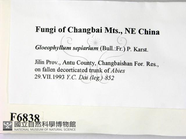 登錄號:F0006838藏品圖，第2張