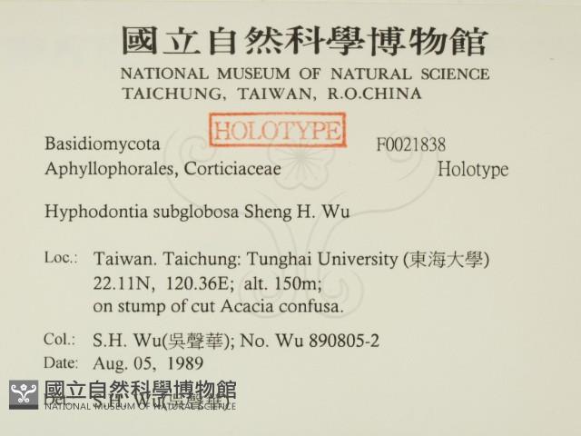 登錄號:F0021838藏品圖，第2張