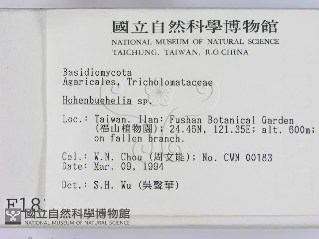 登錄號:F0001838藏品圖，第2張