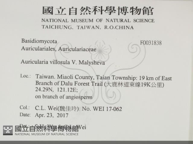 登錄號:F0031838藏品圖，第2張