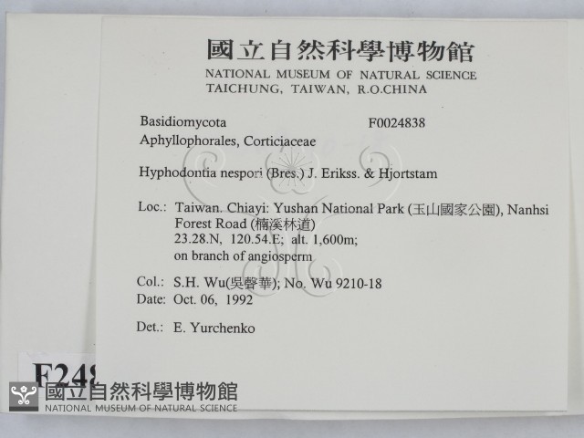 登錄號:F0024838藏品圖，第2張