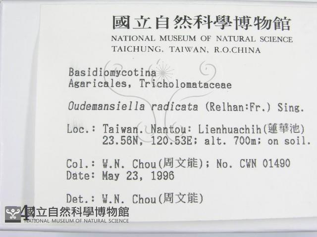 登錄號:F0004838藏品圖，第2張