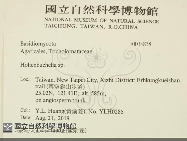 登錄號:F0034838藏品圖，第2張