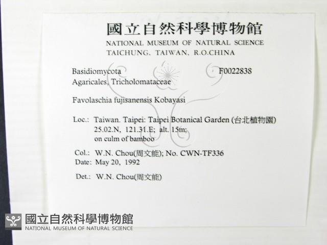 登錄號:F0022838藏品圖，第2張