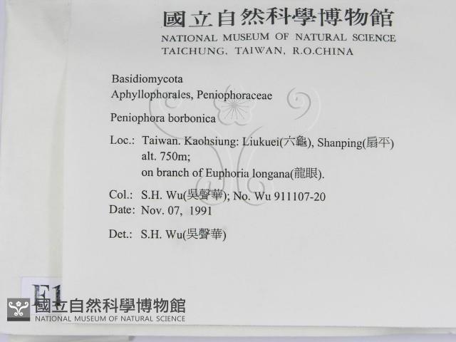 登錄號:F0012838藏品圖，第2張