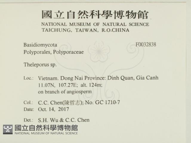 登錄號:F0032838藏品圖，第2張