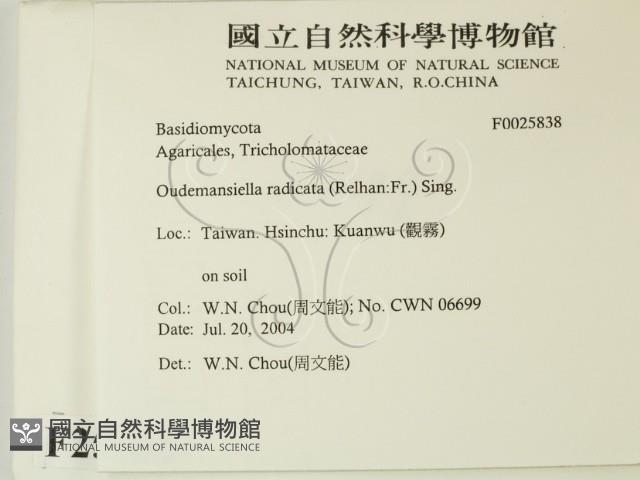 登錄號:F0025838藏品圖，第2張
