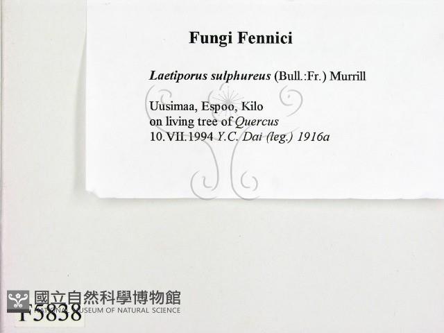 登錄號:F0005838藏品圖，第2張