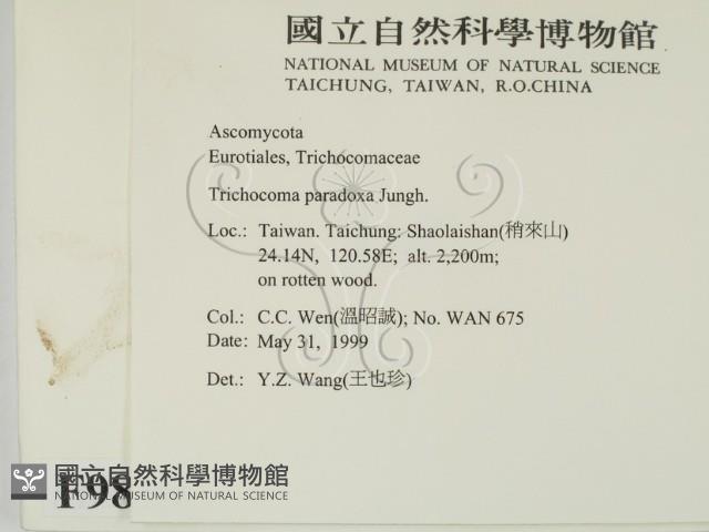 登錄號:F0009838藏品圖，第2張