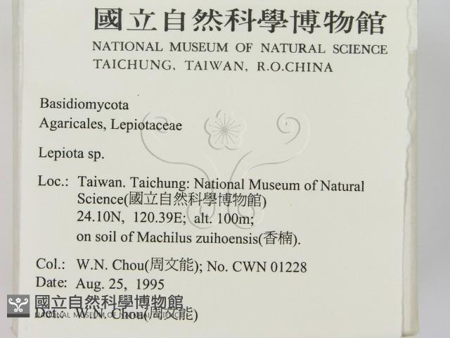 登錄號:F0003838藏品圖，第2張