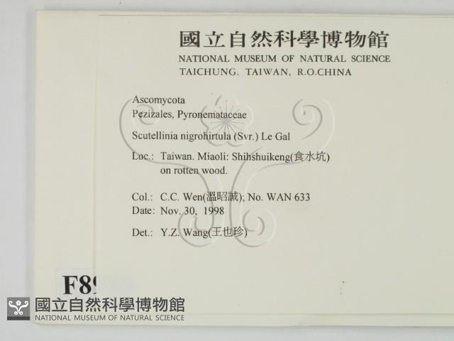 登錄號:F0008938藏品圖，第2張