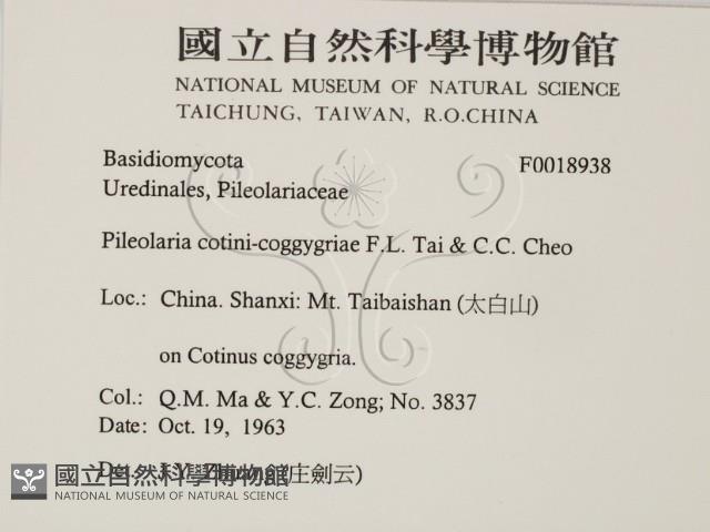 登錄號:F0018938藏品圖，第2張