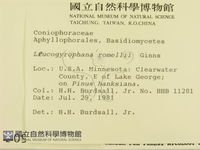 登錄號:F0000938藏品圖，第2張