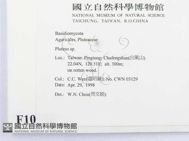 登錄號:F0010938藏品圖，第2張