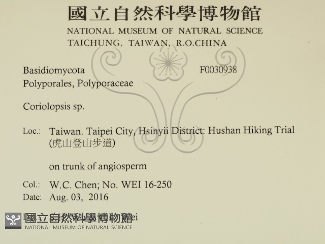 登錄號:F0030938藏品圖，第2張