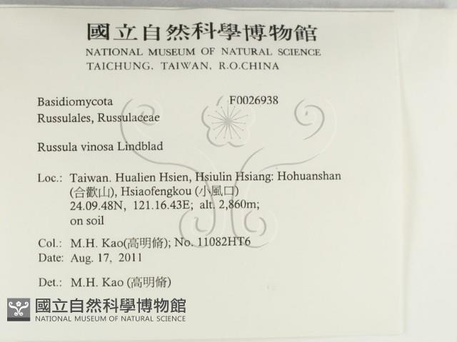 登錄號:F0026938藏品圖，第2張