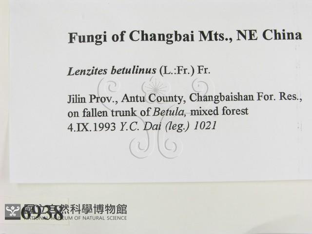 登錄號:F0006938藏品圖，第2張