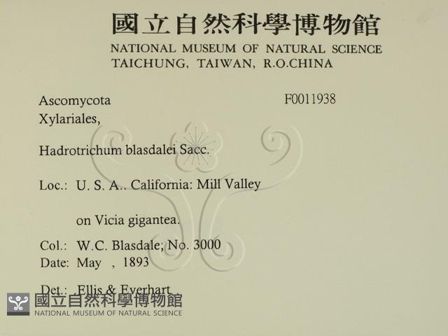 登錄號:F0011938藏品圖，第2張