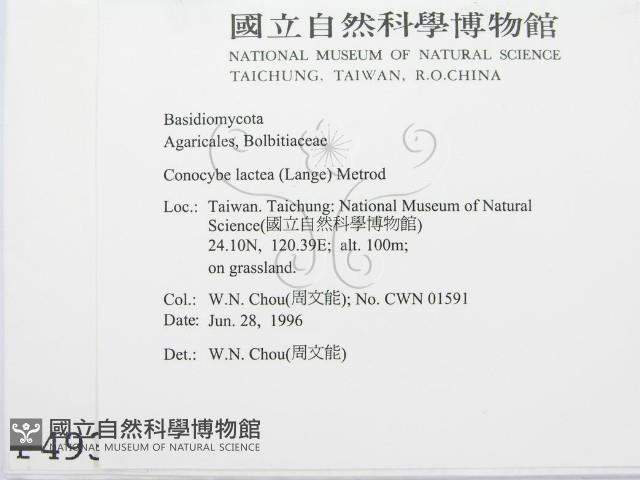 登錄號:F0004938藏品圖，第2張