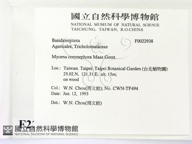 登錄號:F0022938藏品圖，第2張