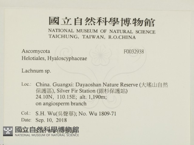登錄號:F0032938藏品圖，第2張