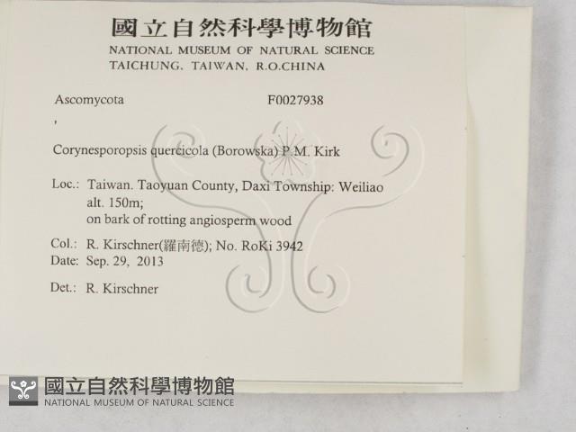 登錄號:F0027938藏品圖，第2張