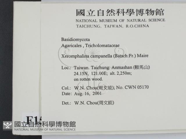 登錄號:F0015938藏品圖，第2張