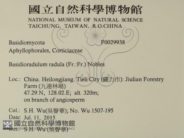 登錄號:F0029938藏品圖，第2張