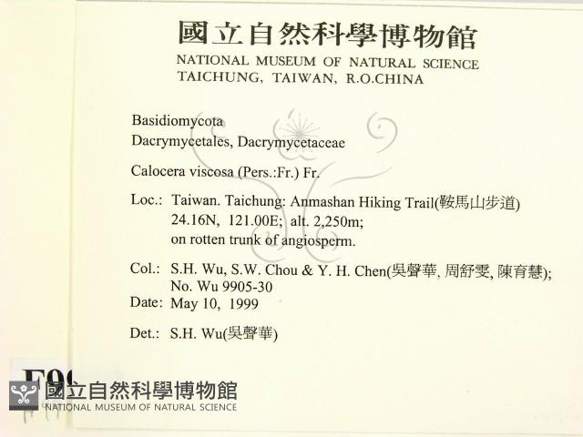 登錄號:F0009938藏品圖，第2張