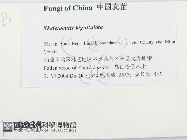 登錄號:F0019938藏品圖，第2張