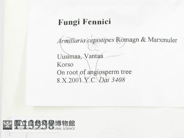 登錄號:F0013938藏品圖，第2張