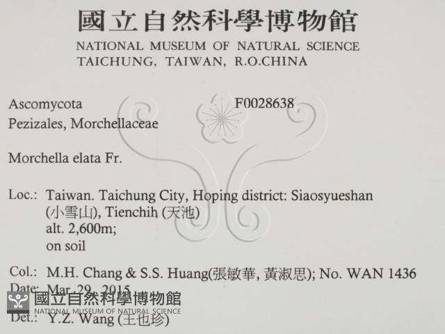 登錄號:F0028638藏品圖，第2張